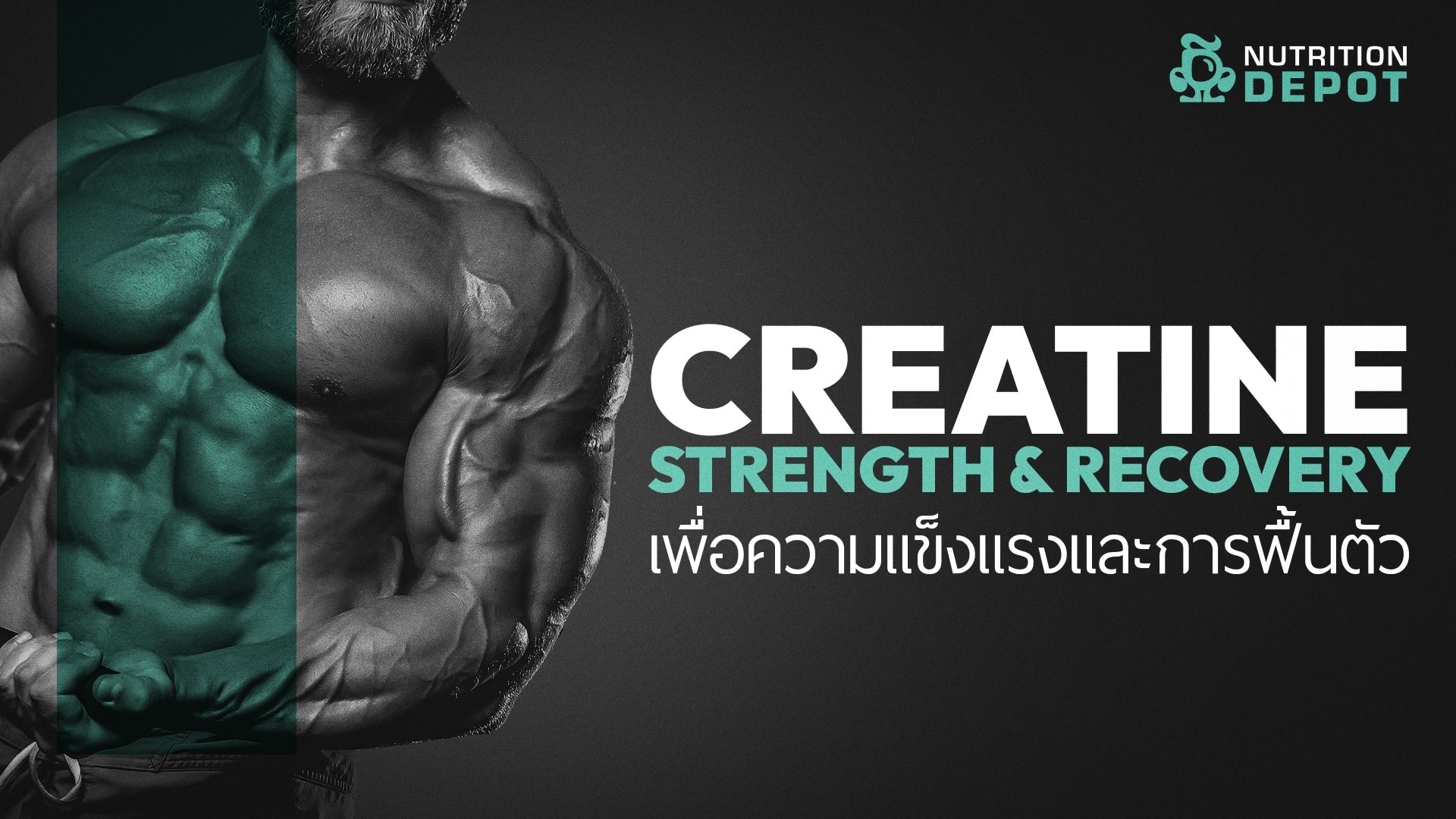 About Creatine | Creatine คืออะไร