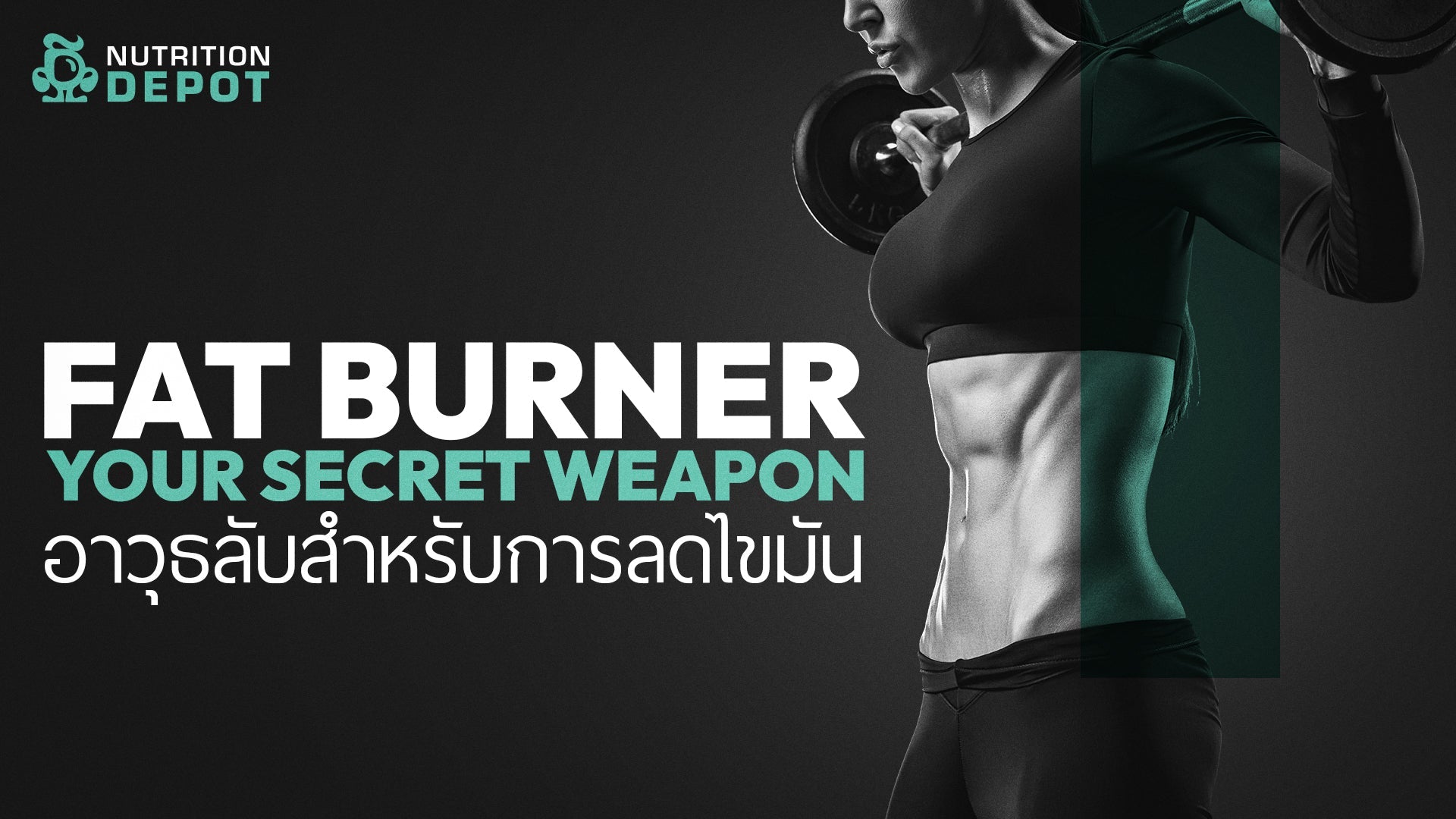 About Fat Burner | Fat Burner คืออะไร