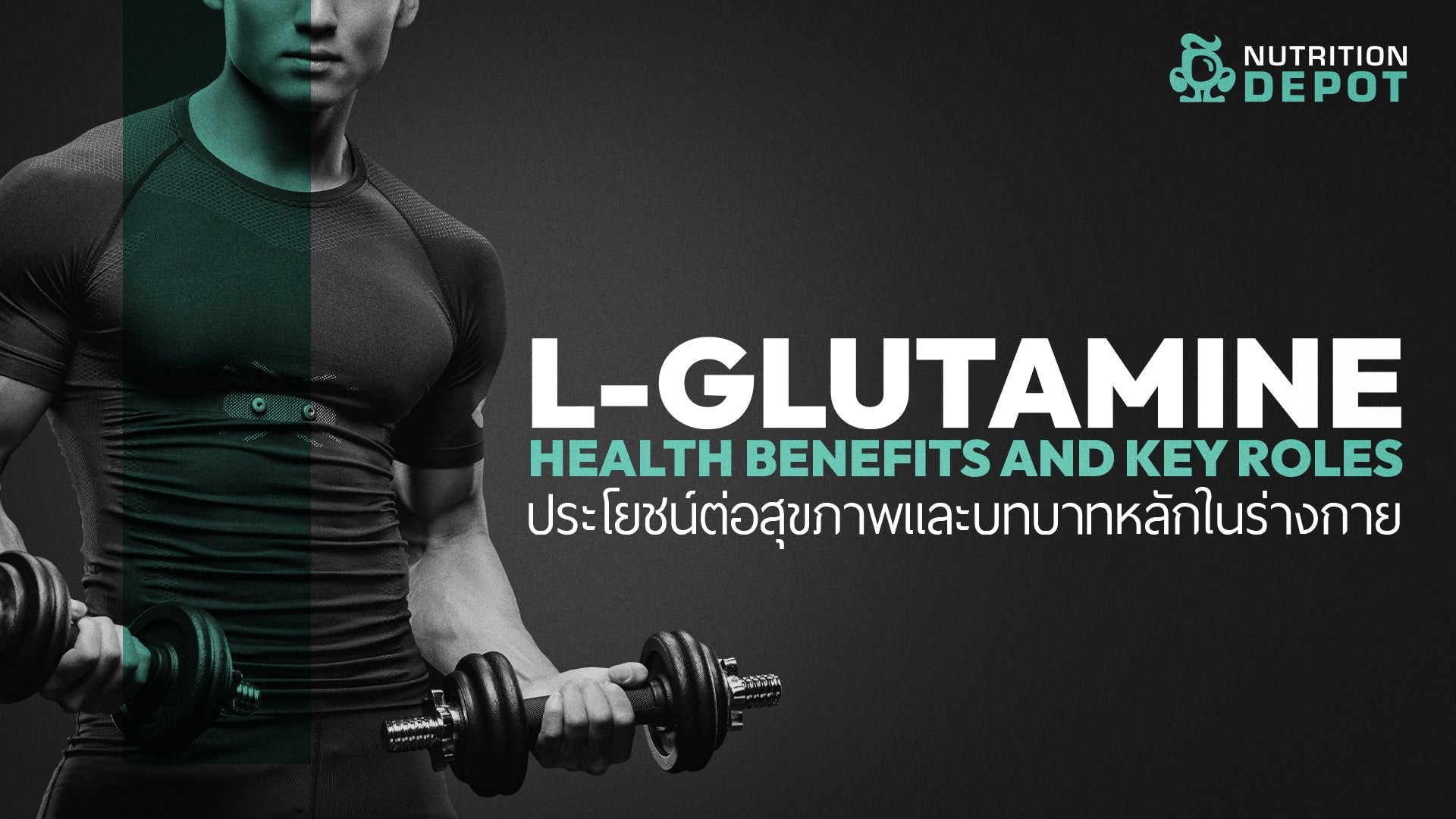 About L-Glutamine | L-Glutamine คืออะไร