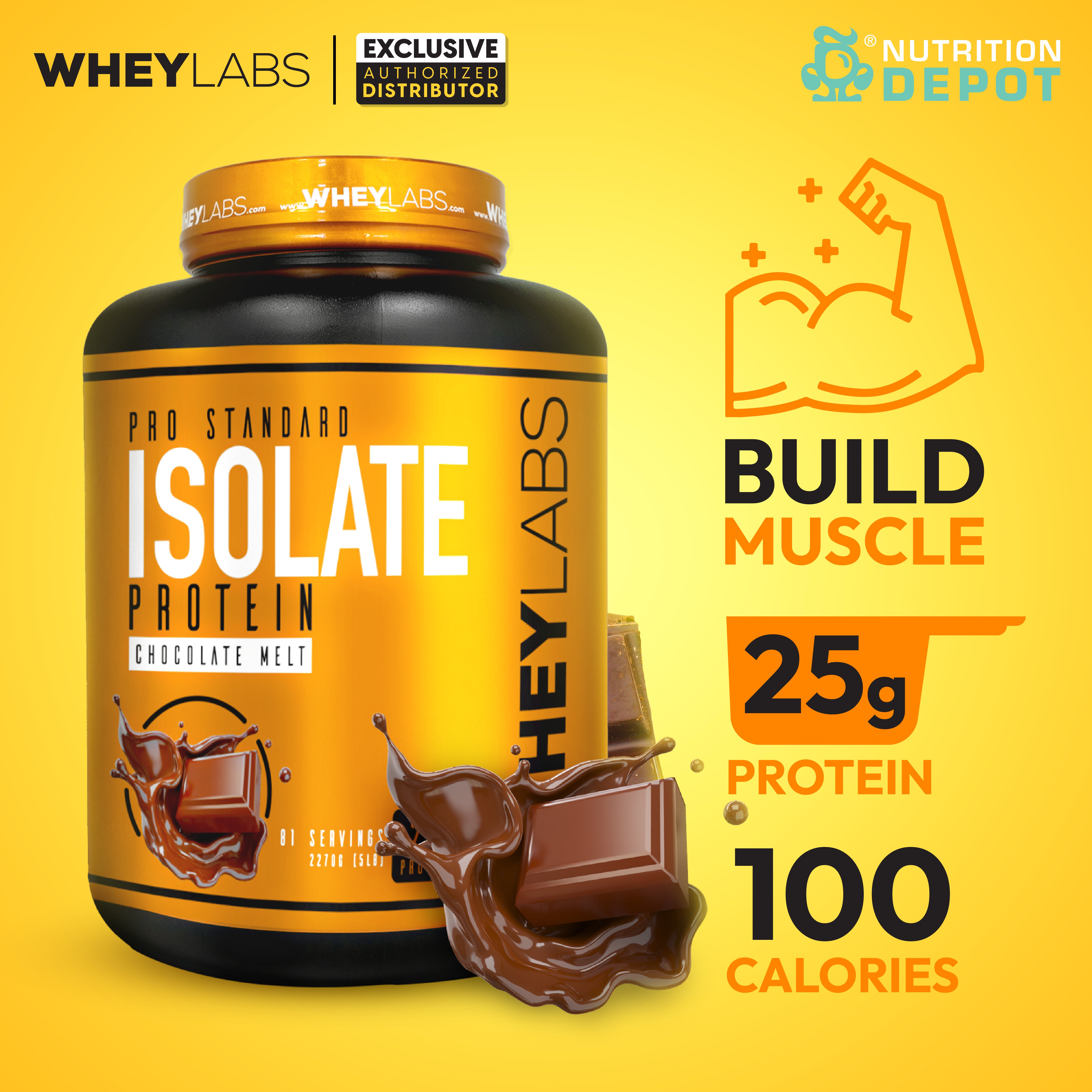 Whey Labs 100% Isolate 5 lbs- Chocolate Melt เวย์โปรตีนเสริมสร้างกล้ามเนื้อ