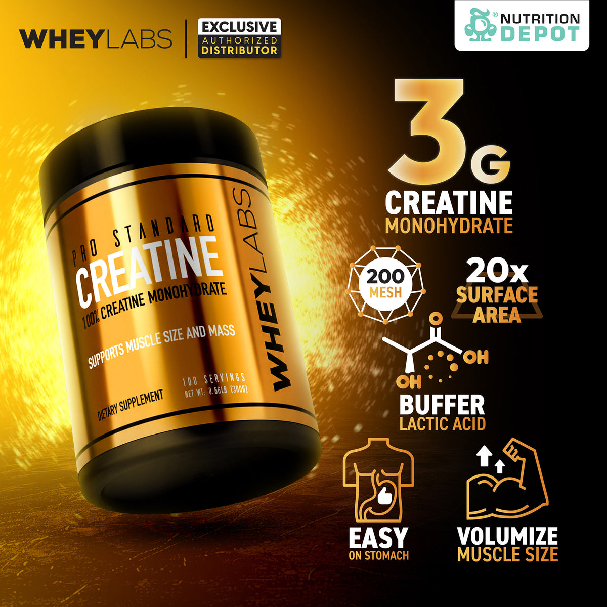 Whey Labs Pro Standard Creatine 300g กรดอะมิโนเพิ่มพลังให้กล้ามเนื้อ