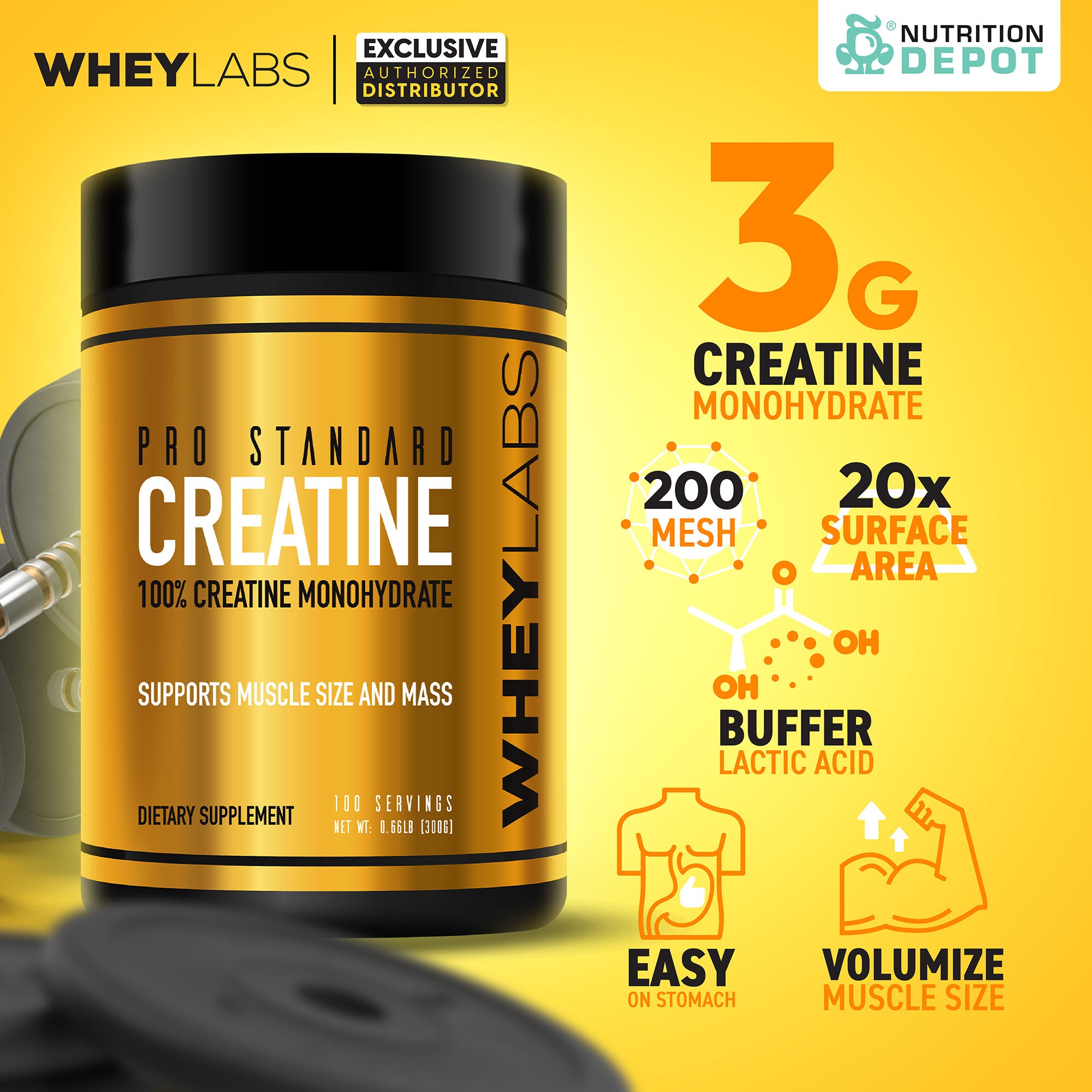 Whey Labs Pro Standard Creatine 300g กรดอะมิโนเพิ่มพลังให้กล้ามเนื้อ