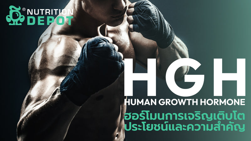 human growth hormone ฮอร์โมน การเจริญเติบโต