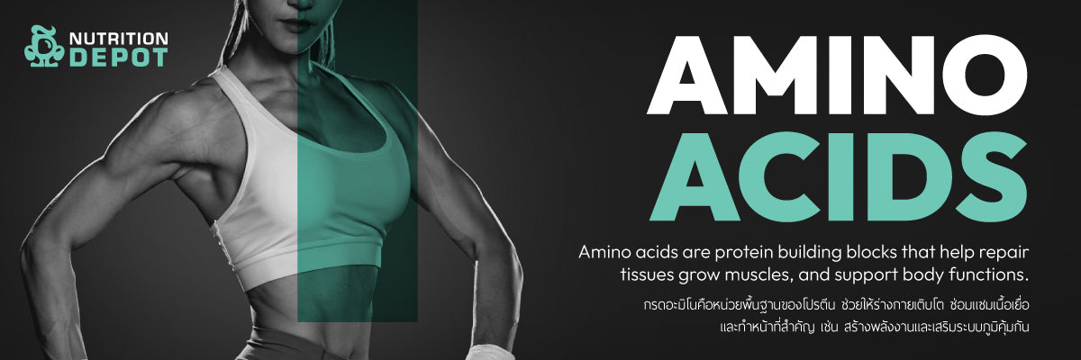 AMINO ACIDS - กรดอะมิโน