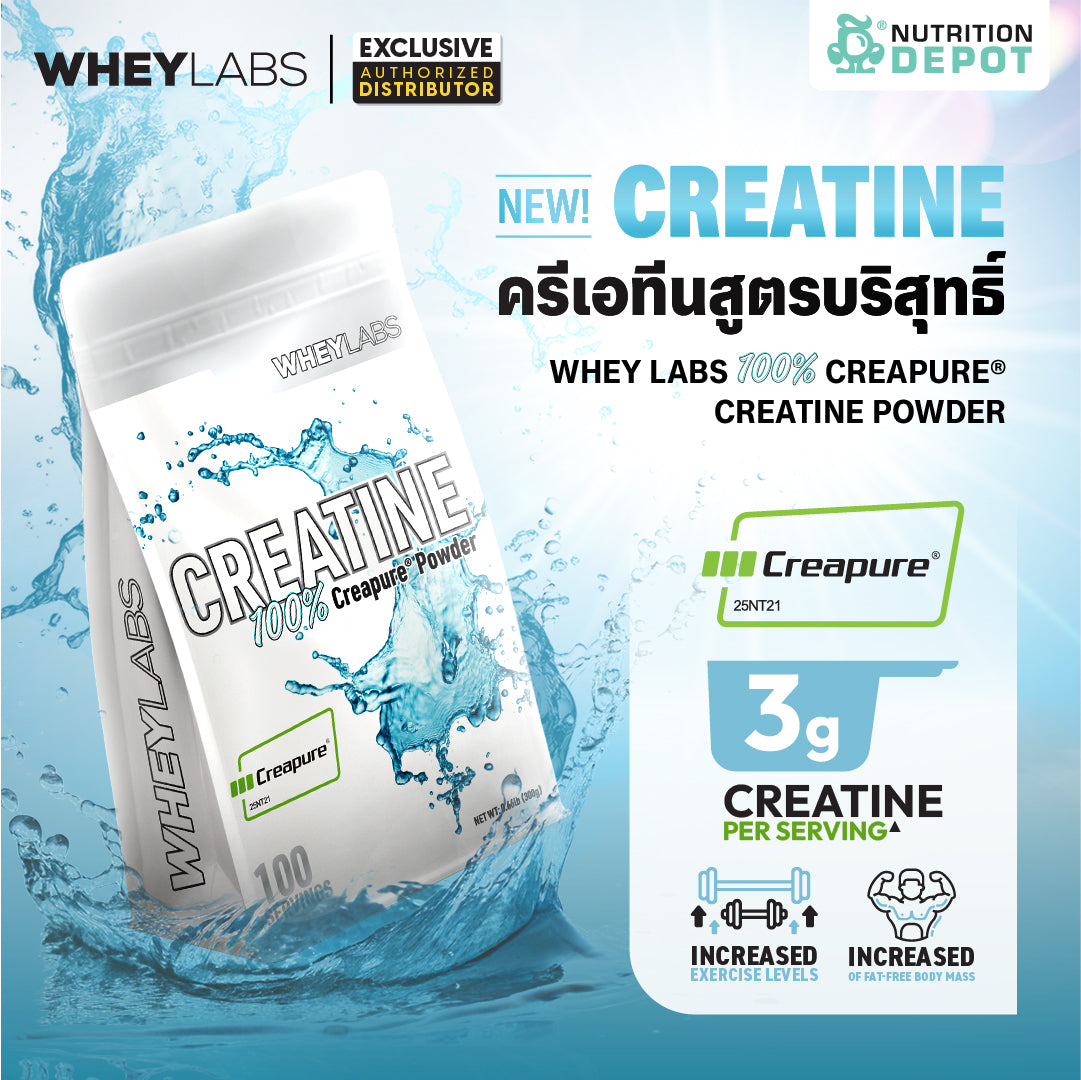 Whey Labs Creatine creapure 300g กรดอะมิโนเพิ่มพลังให้กล้ามเนื้อ