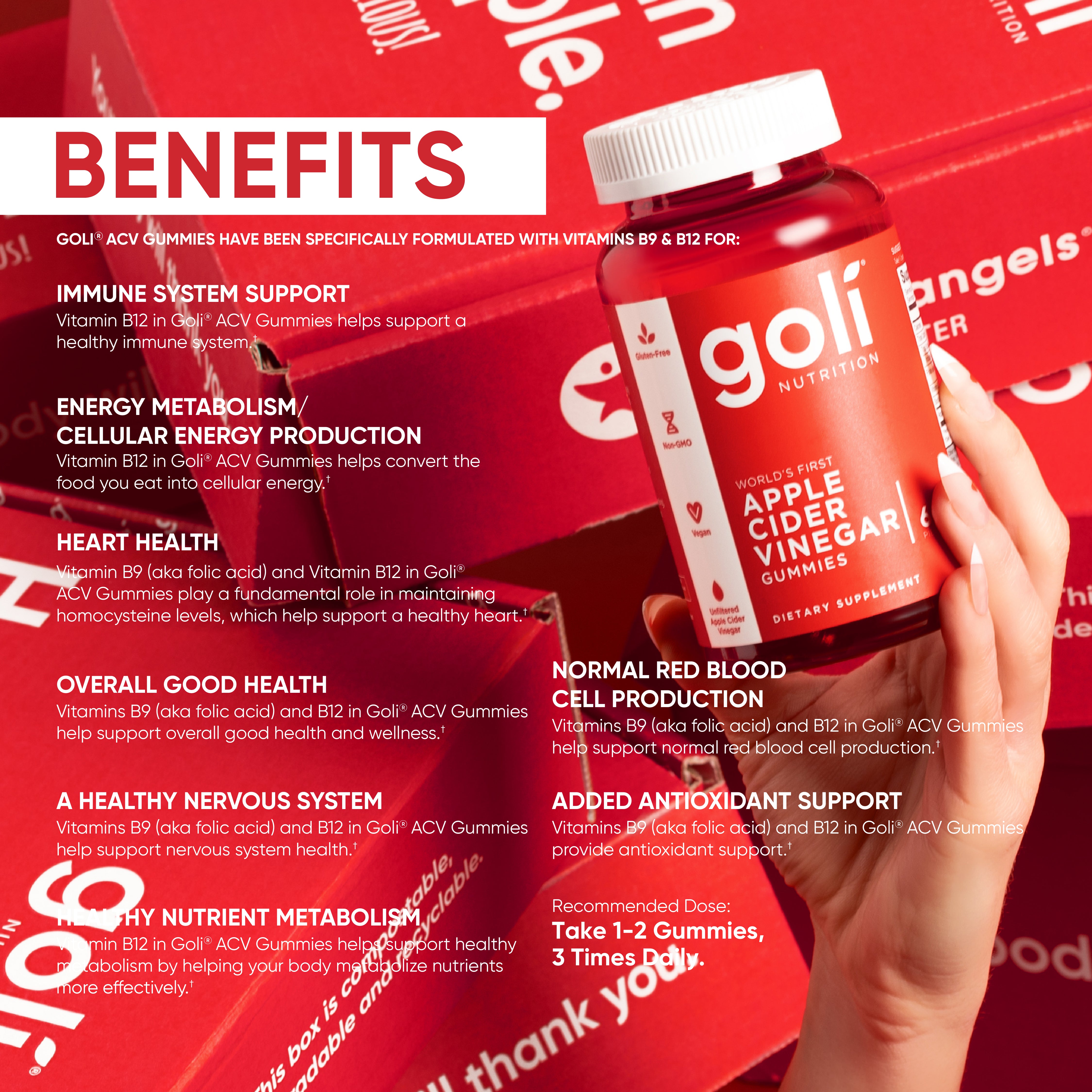 ( BBF 01/AUG/25 )Goli Nutrition - Apple Cider Vinegar (Apple Flavor) - 60 Count