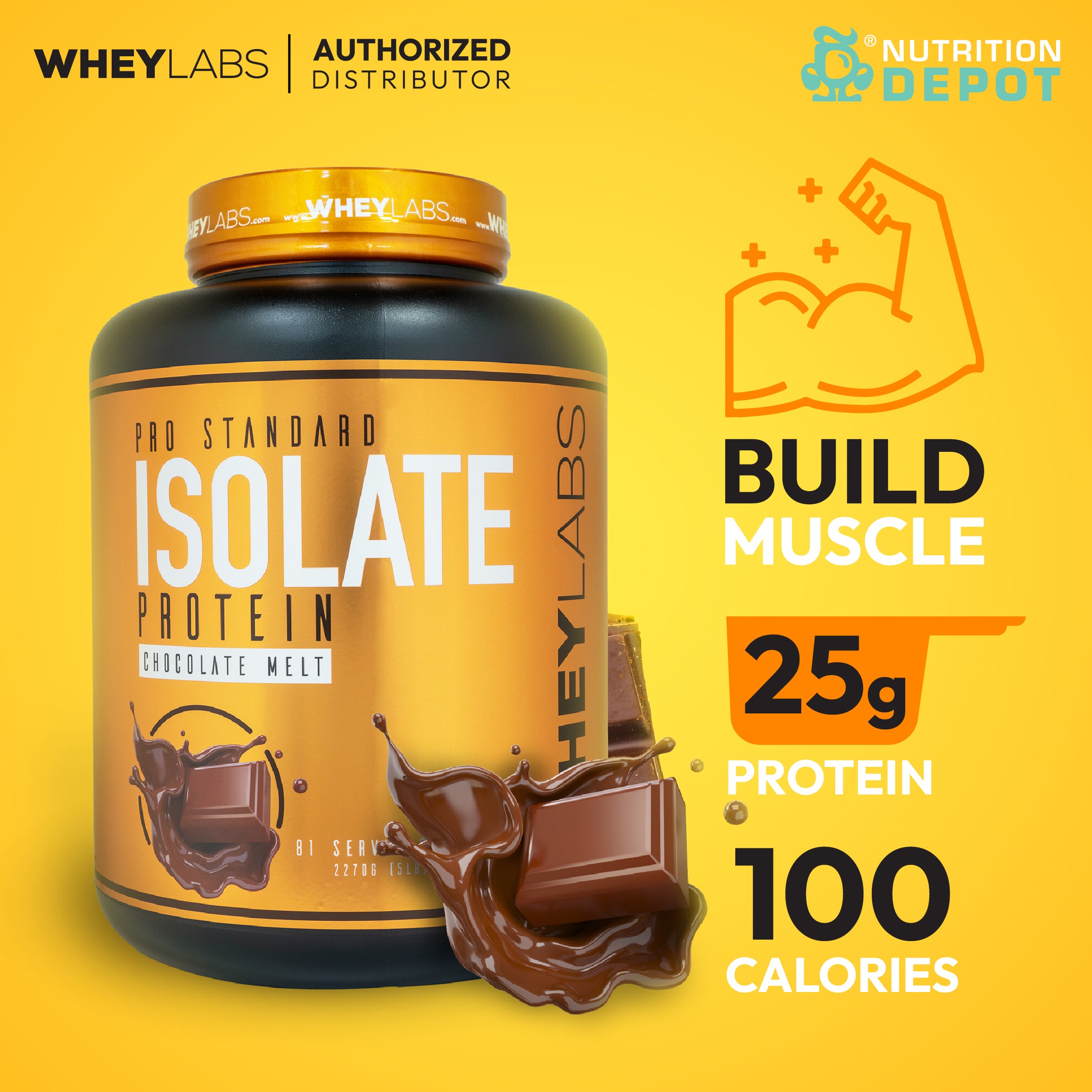 Whey Labs 100% Isolate 5 lbs- Chocolate Melt เวย์โปรตีนเสริมสร้างกล้ามเนื้อ