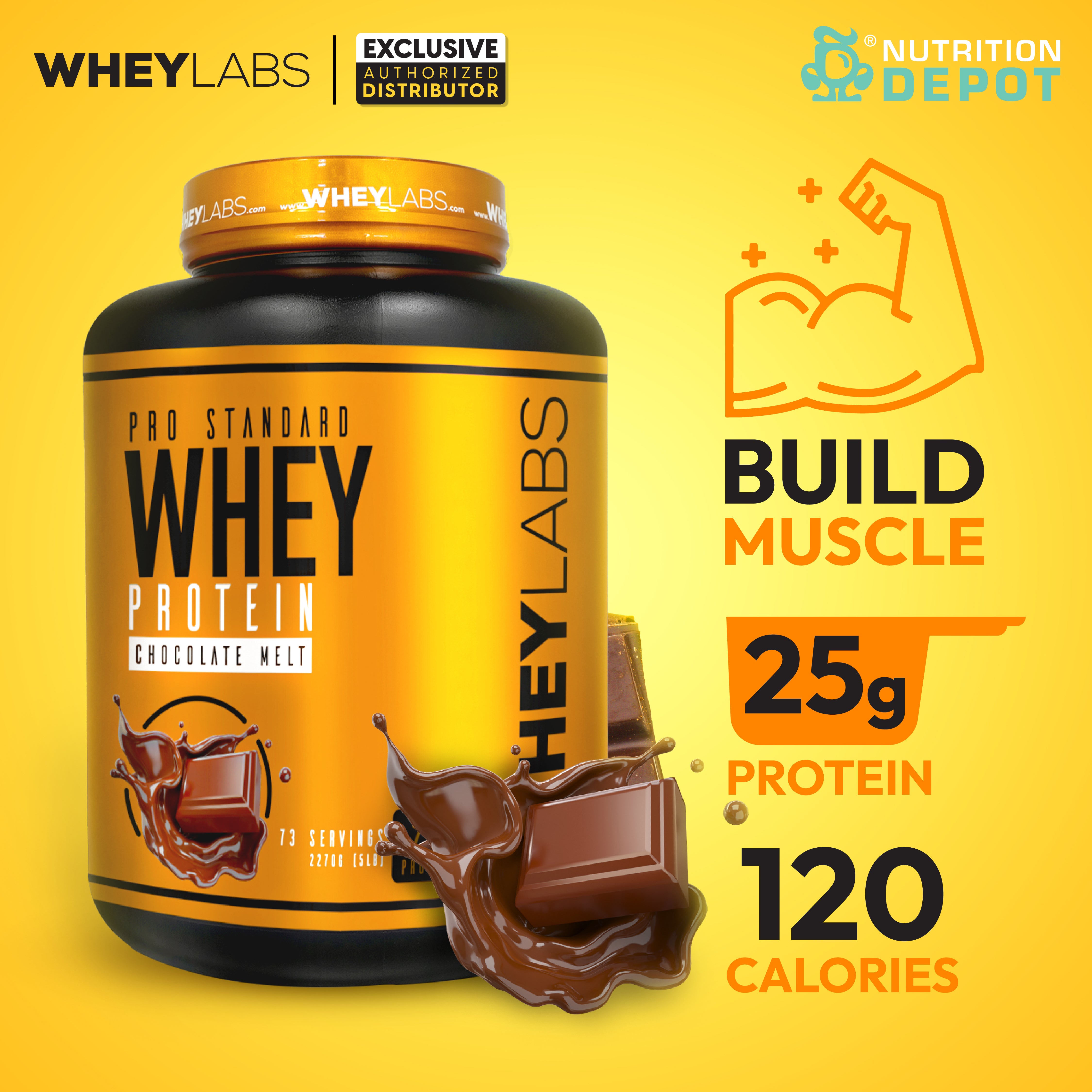 Whey Labs 100% Whey Protein 5 lbs- Chocolate Melt เวย์โปรตีนเสริมสร้างกล้ามเนื้อ