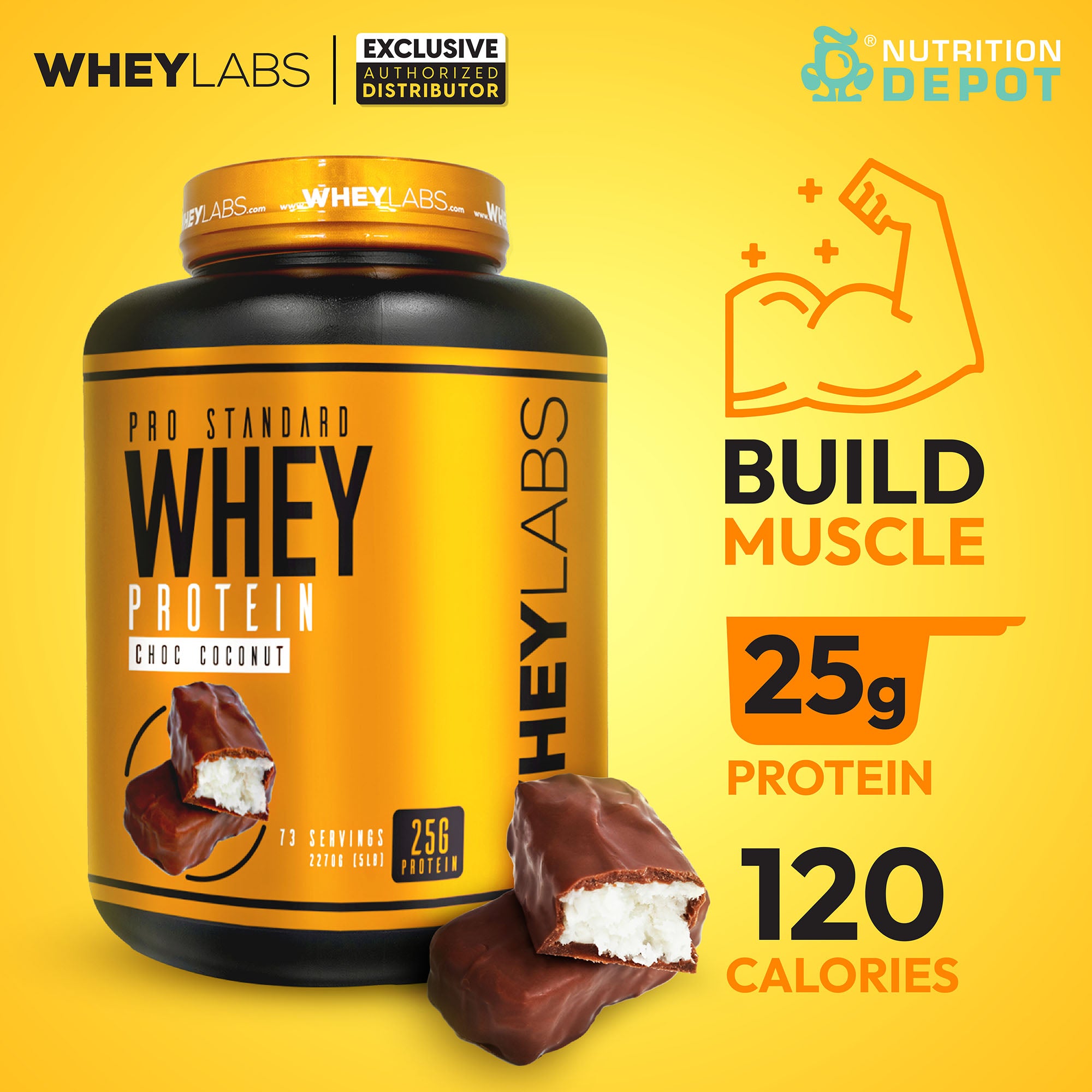 Whey Labs 100% Whey Protein 5lbs - Choc Coconut เวย์โปรตีนเสริมสร้างกล้ามเนื้อ