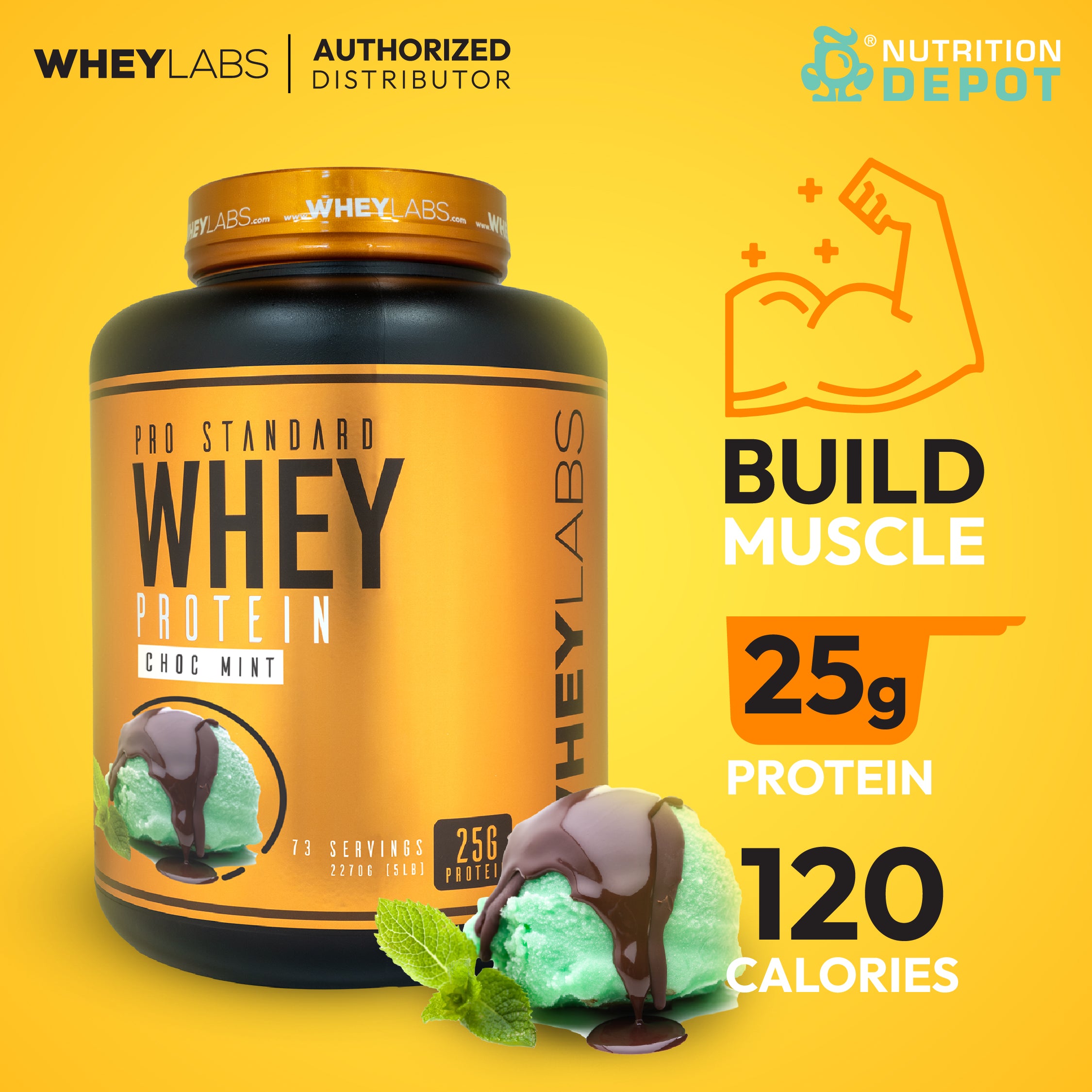 Whey Labs 100% Whey Protein 5lbs - Choc Mint เวย์โปรตีนเสริมสร้างกล้ามเนื้อ