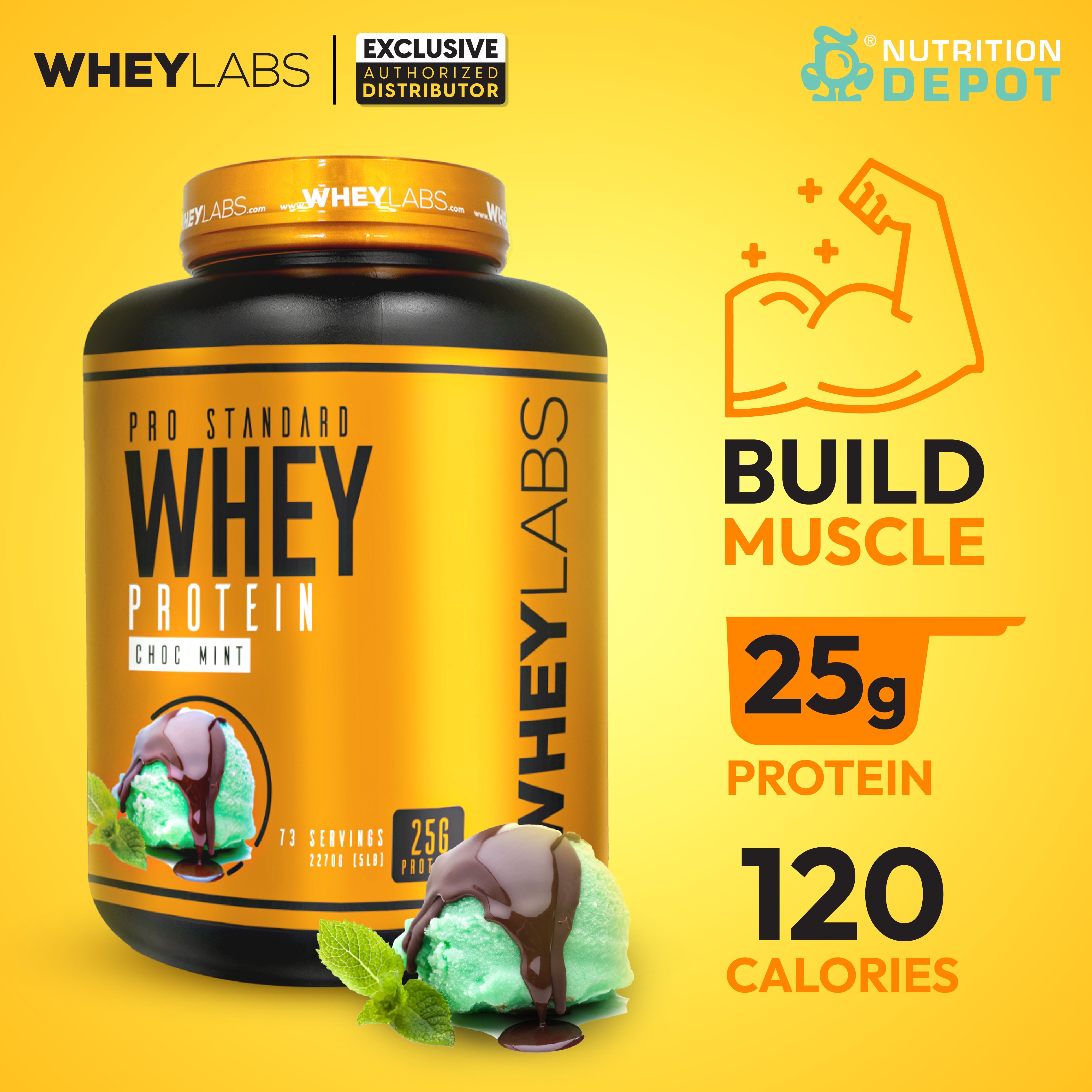 Whey Labs 100% Whey Protein 5lbs - Choc Mint เวย์โปรตีนเสริมสร้างกล้ามเนื้อ