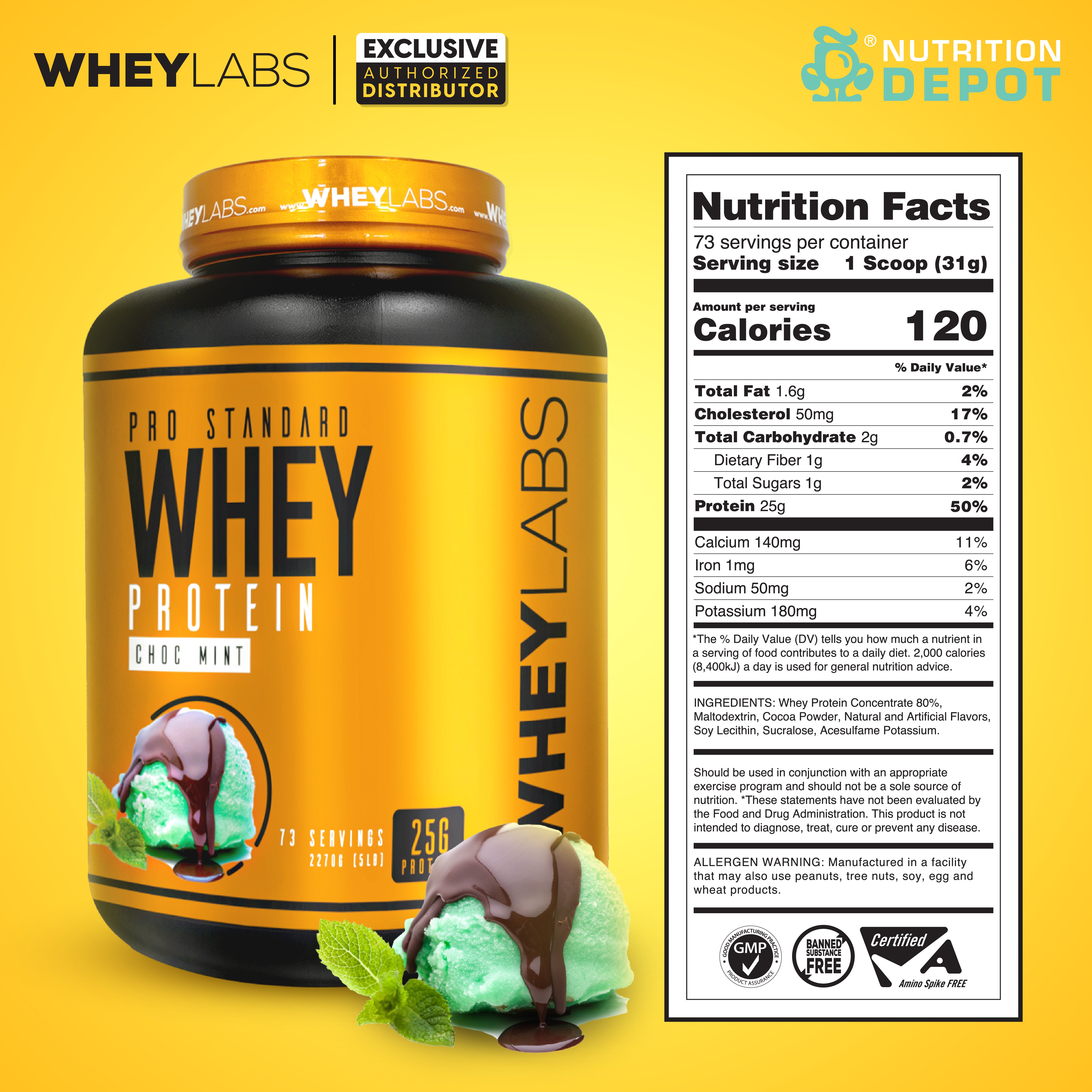 Whey Labs 100% Whey Protein 5lbs - Choc Mint เวย์โปรตีนเสริมสร้างกล้ามเนื้อ