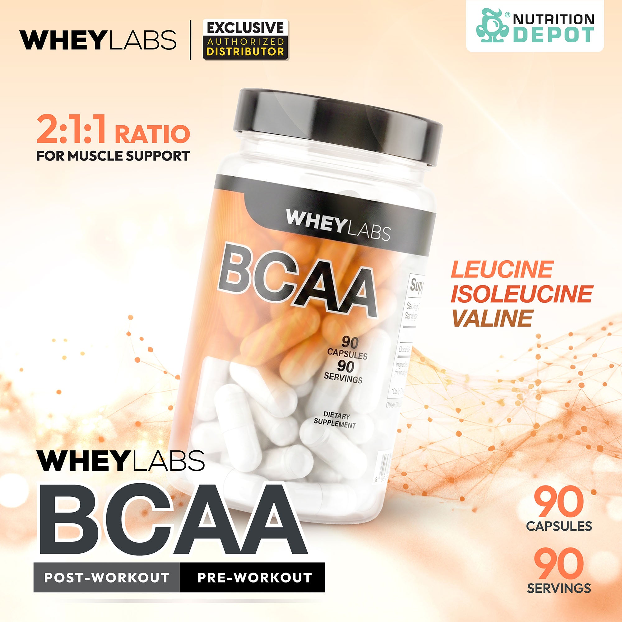 Whey Labs Elite Series BCAA 90 Caps