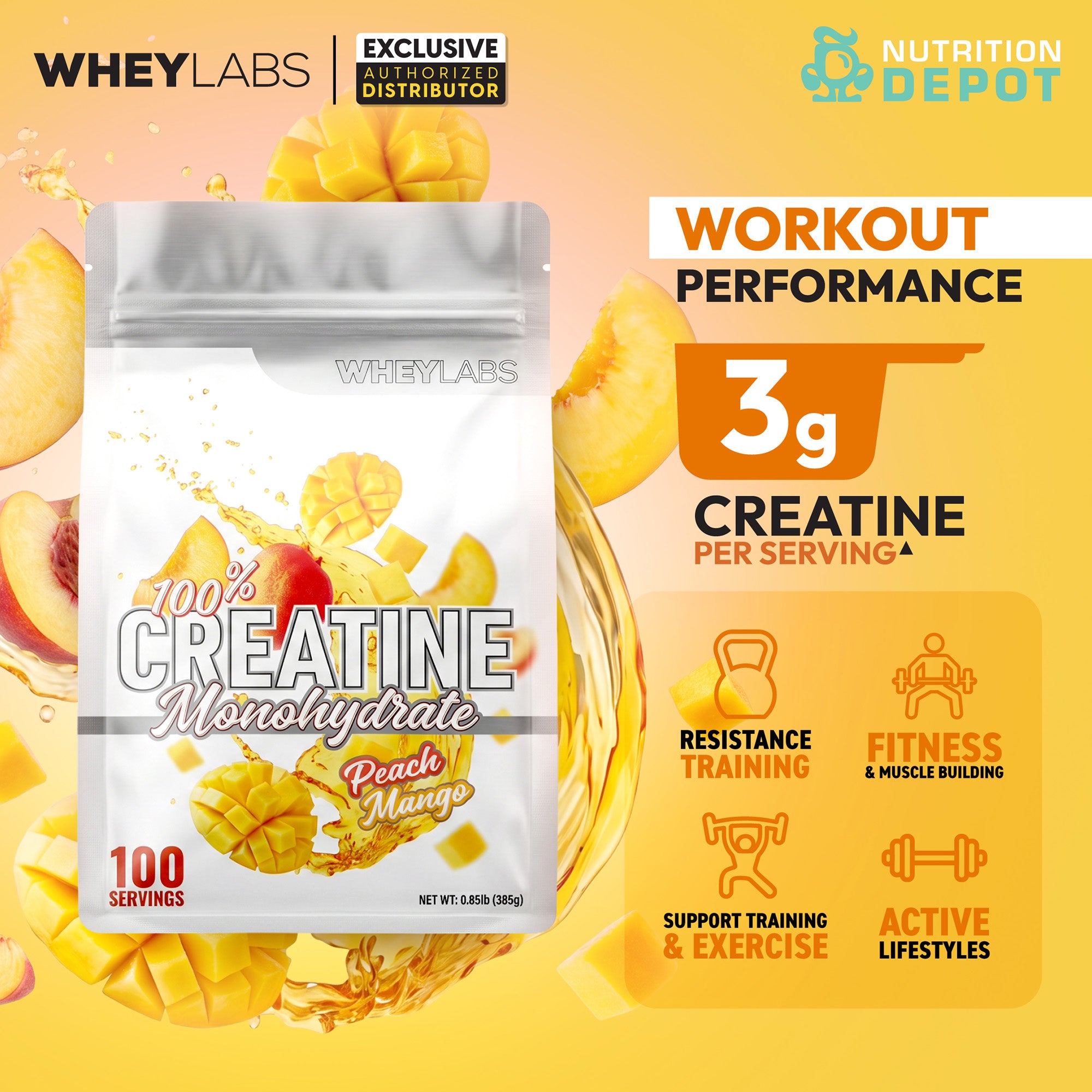 Whey Labs Creatine Monohydrate - Peach Mango 385g