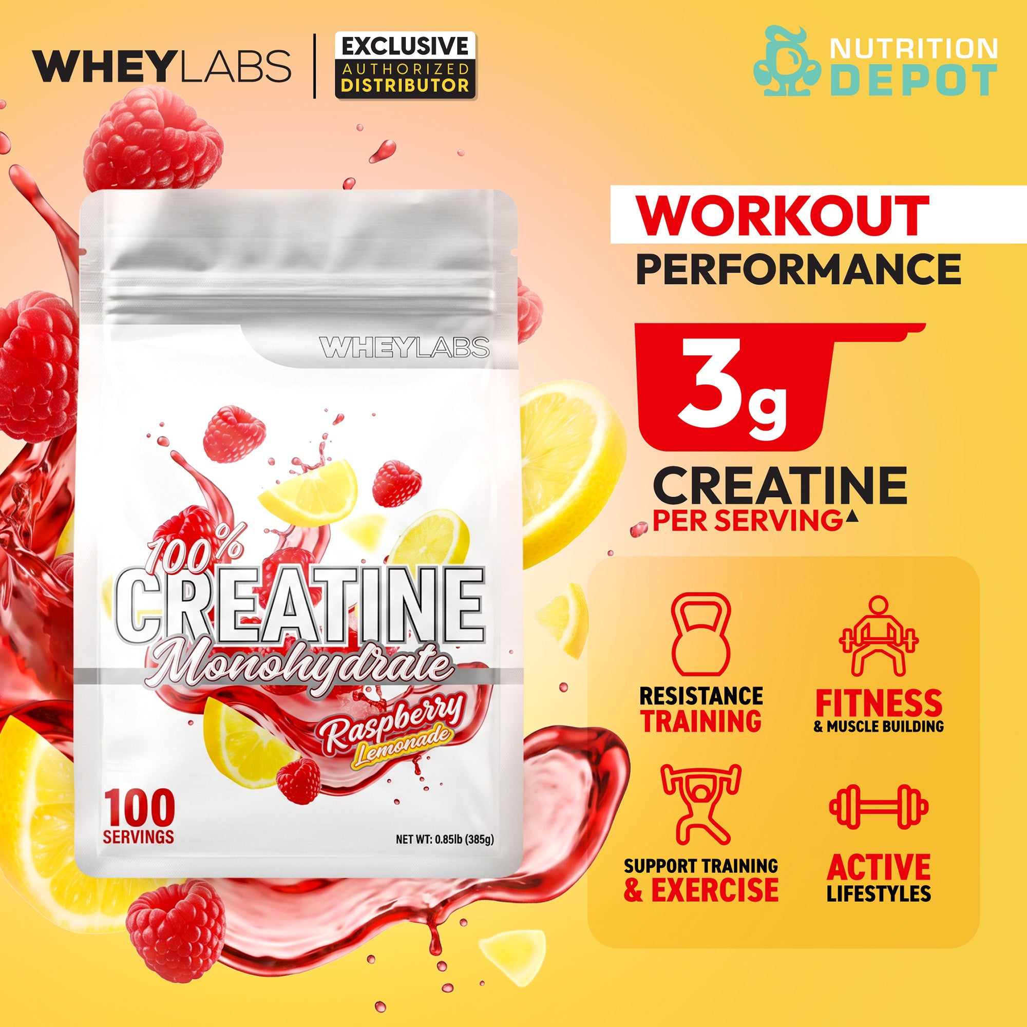 Whey Labs Creatine Monohydrate - Raspberry Lemonade 385g