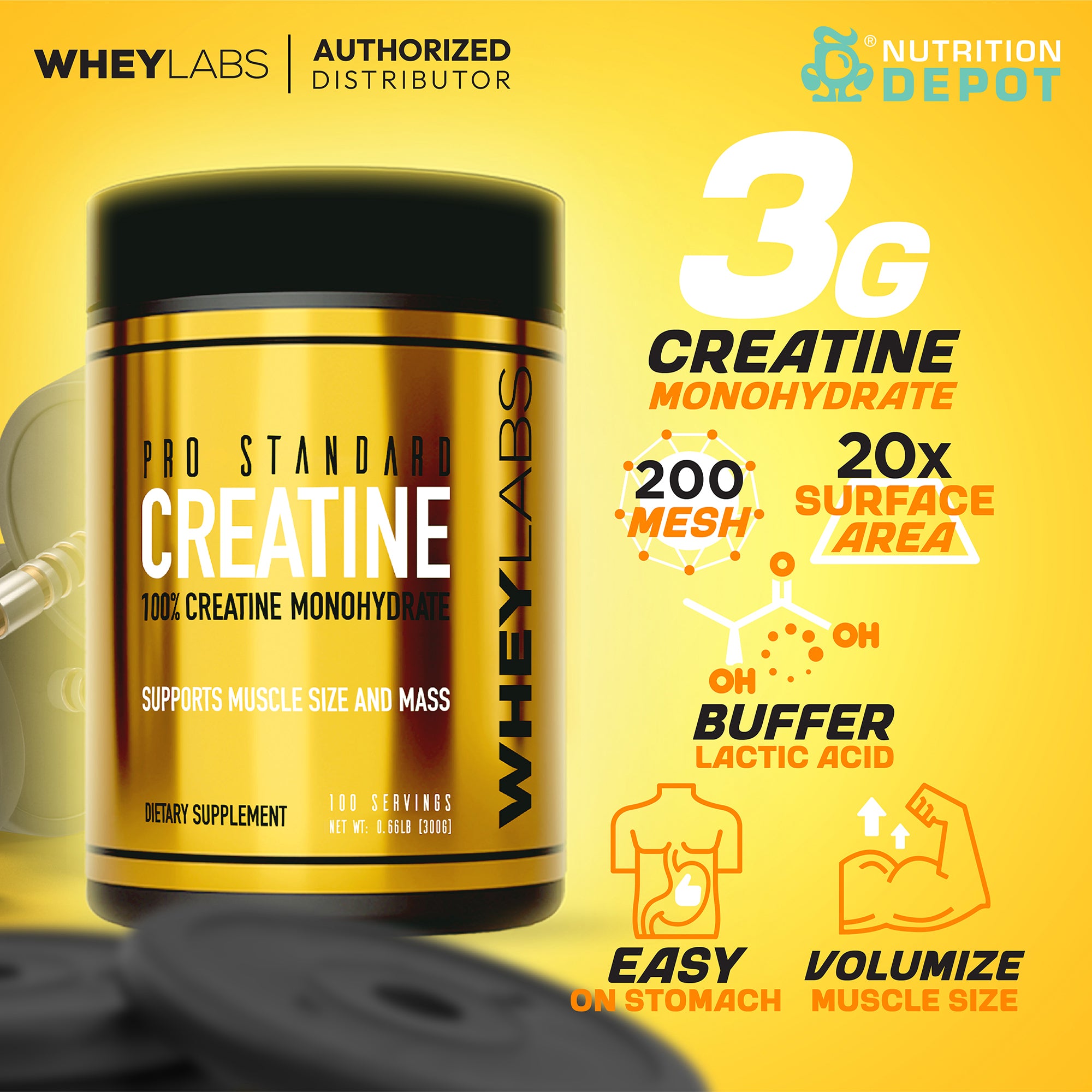 Whey Labs Pro Standard Creatine 300g กรดอะมิโนเพิ่มพลังให้กล้ามเนื้อ