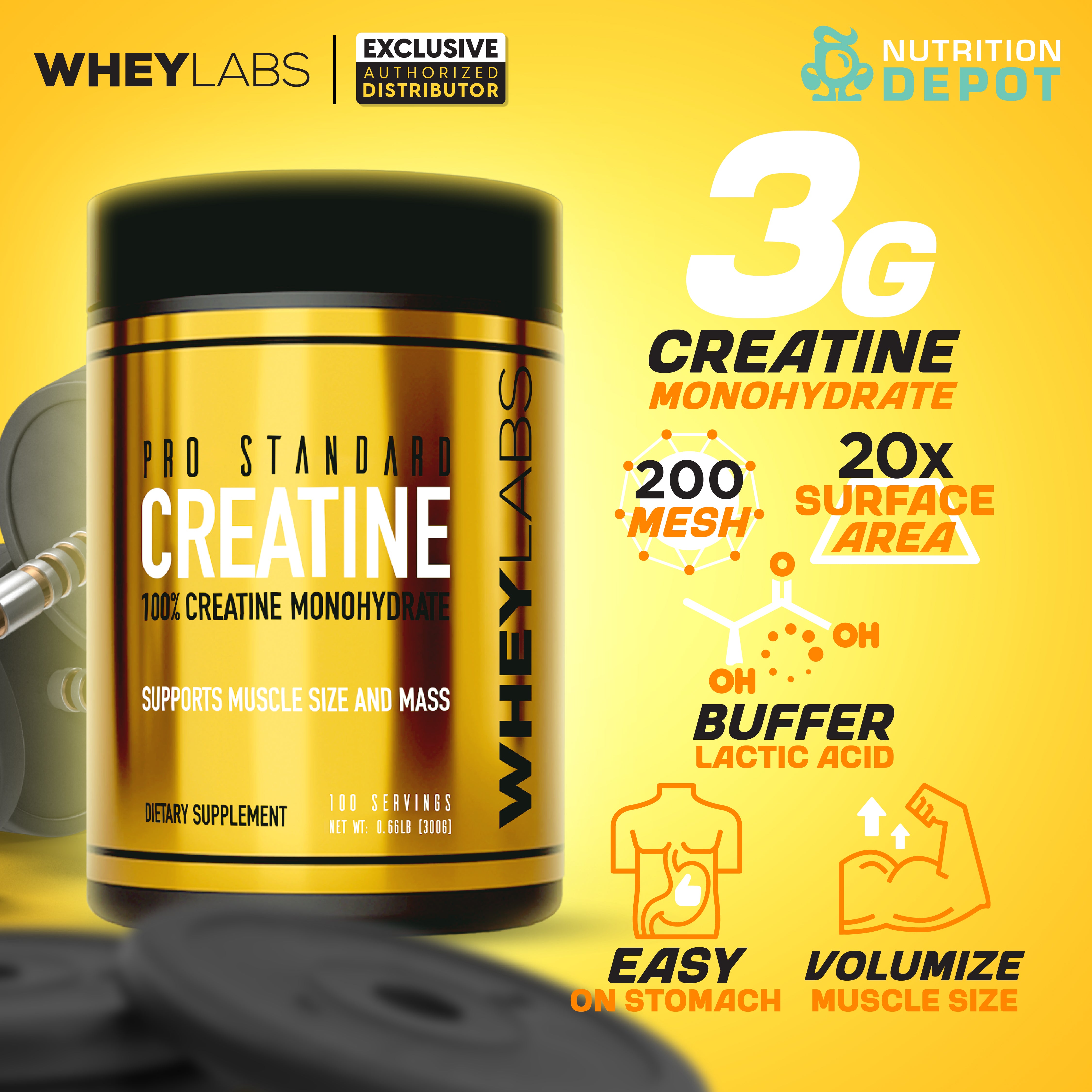 Whey Labs Pro Standard Creatine 300g กรดอะมิโนเพิ่มพลังให้กล้ามเนื้อ