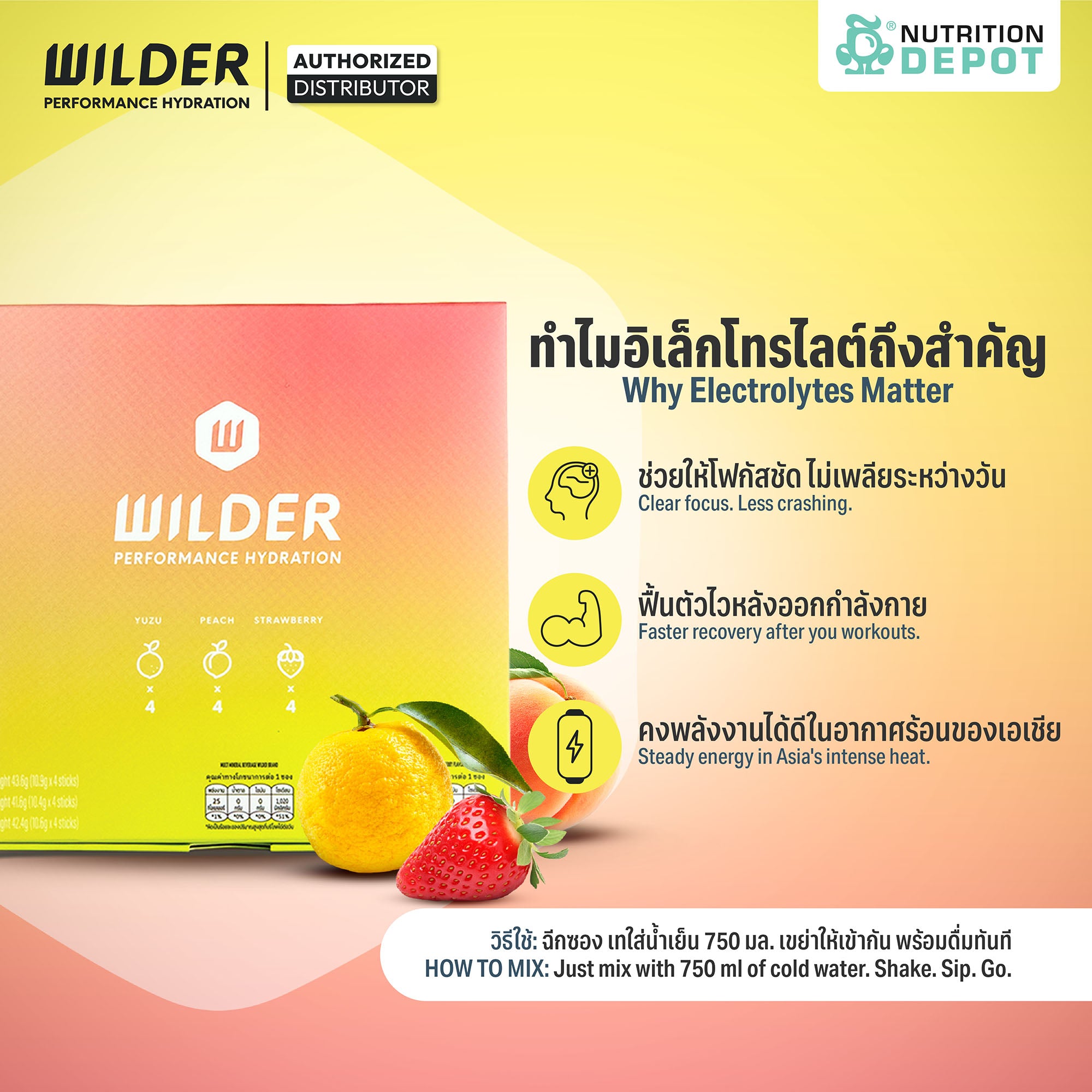 Wilder Performance Hydration - Variety Box 12 Sachet