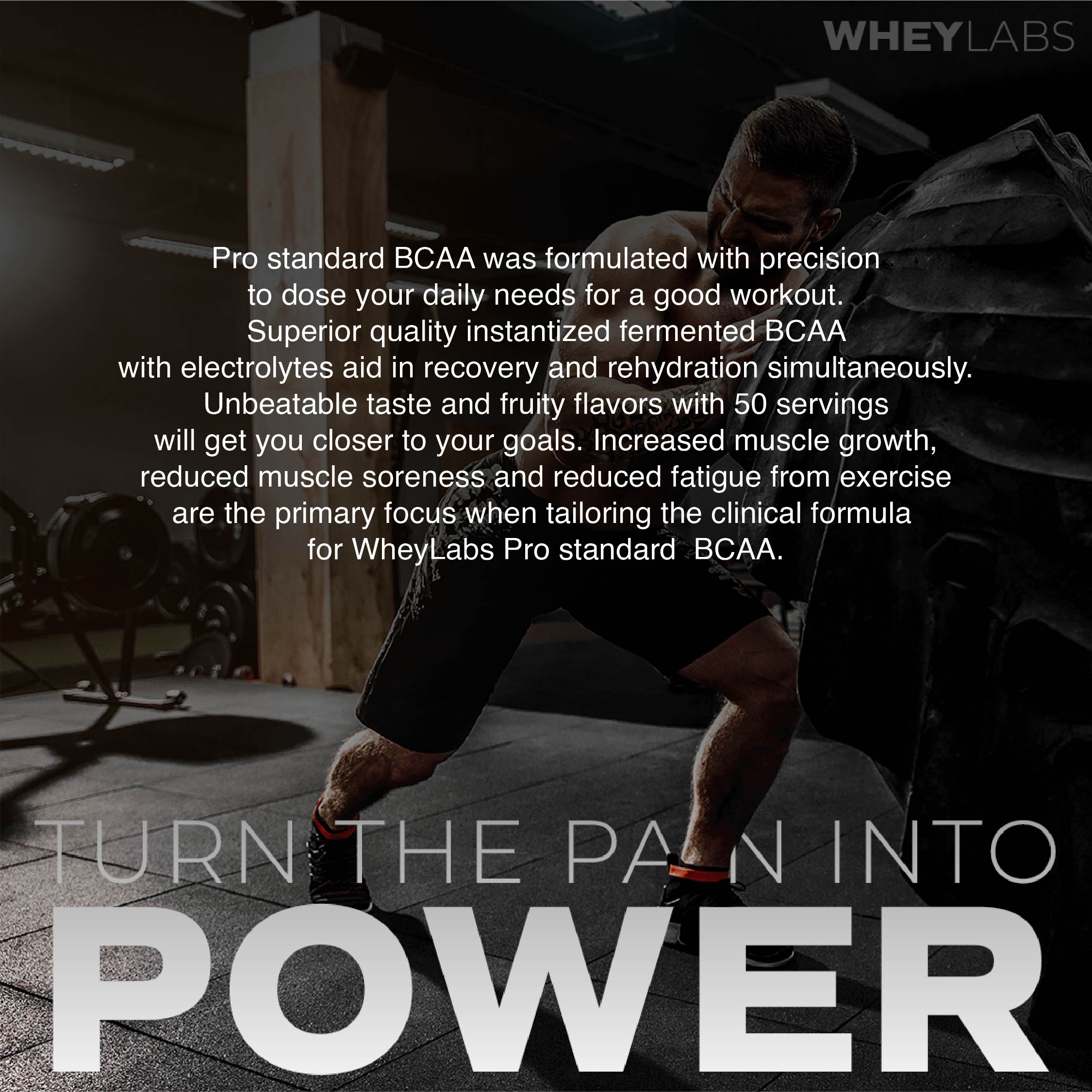 Whey Labs BCAA + Electrolytes - Passionfruit 50 Servings กรดอะมิโนป้องกันการสลายตัวของกล้ามเนื้อ