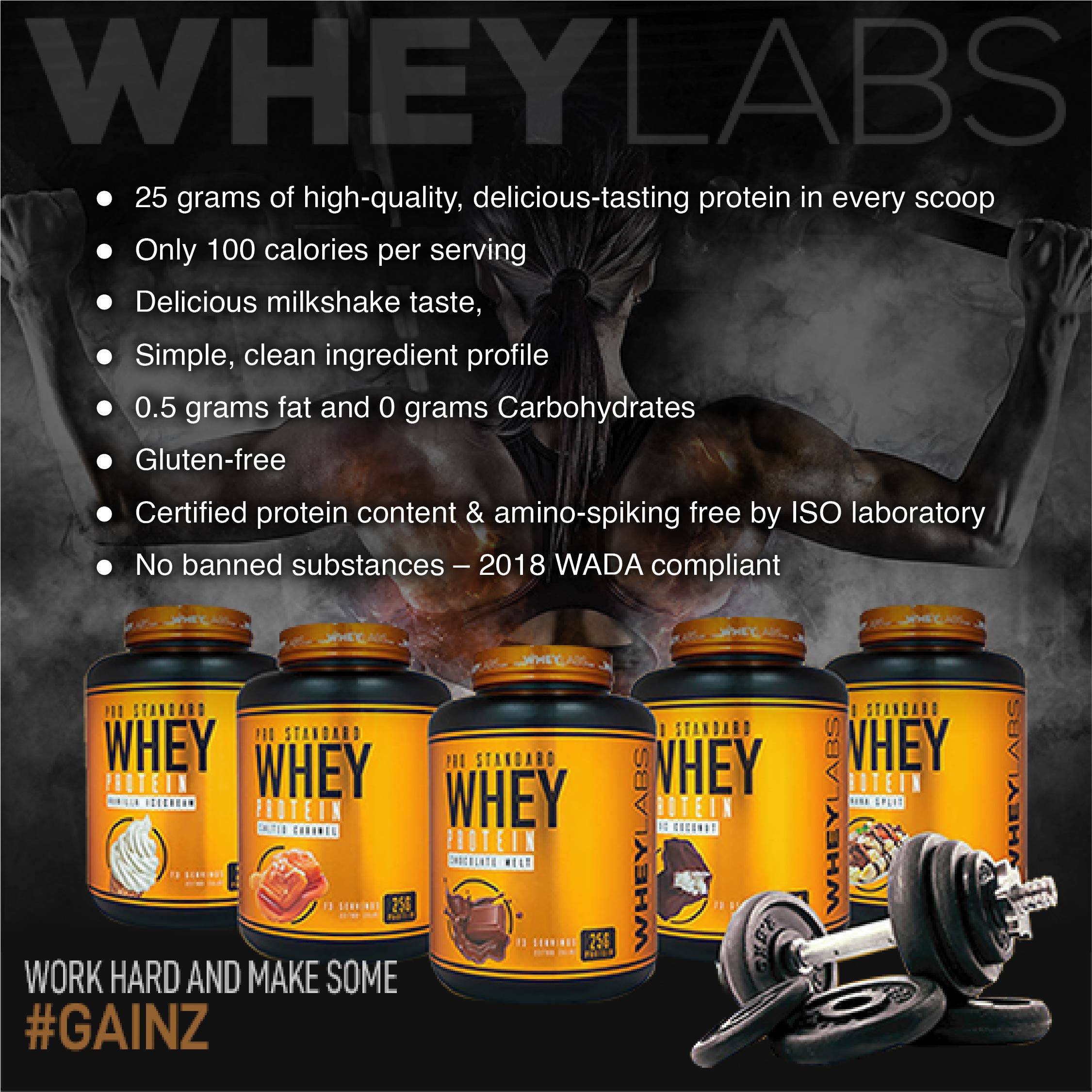 Whey Labs 100% Isolate 5 lbs- Chocolate Melt เวย์โปรตีนเสริมสร้างกล้ามเนื้อ